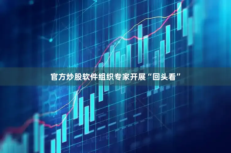 官方炒股软件组织专家开展“回头看”
