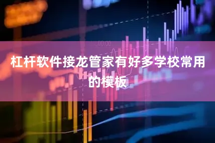 杠杆软件接龙管家有好多学校常用的模板