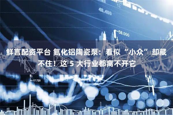 鲜言配资平台 氮化铝陶瓷泵:看似 “小众” 却藏不住!这 5 大行业都离不开它