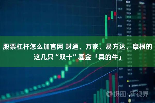 股票杠杆怎么加官网 财通、万家、易方达、摩根的这几只“双十”基金「真的牛」