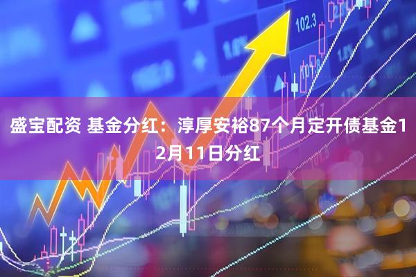 盛宝配资 基金分红：淳厚安裕87个月定开债基金12月11日分红