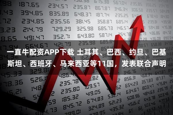 一直牛配资APP下载 土耳其、巴西、约旦、巴基斯坦、西班牙、马来西亚等11国,发表联合声明